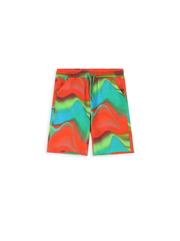 Coccodrillo Bermudas in bunt