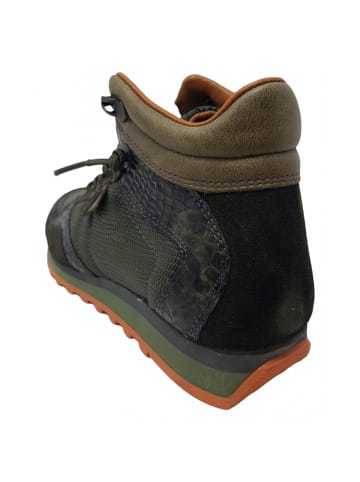 Cetti Kurzstiefel Ante Tjus in Grün