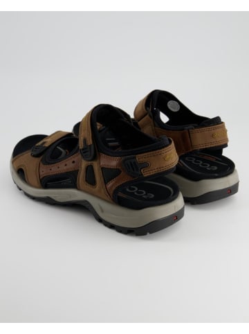 Ecco Sandalen in Braun