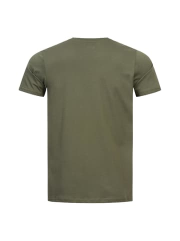 Alpha Industries Alpha Industries T-Shirts in olive