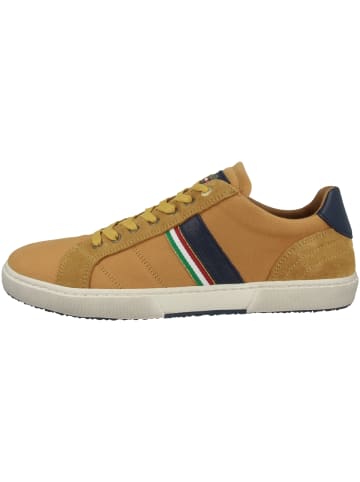 Pantofola D'Oro Sneaker low Modena Canvas Uomo Low in gelb