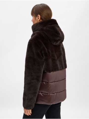 BLAUER USA Steppjacke in schoko