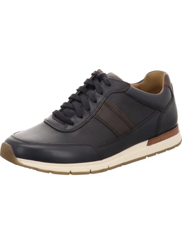 Pius Gabor Sneaker Low in blau