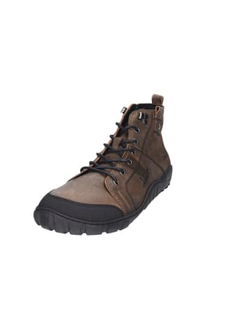 KOEL Schnürschuhe  Sportlich in braun