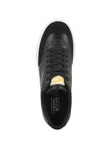 Camel Active Sneaker low 54BGA02 in schwarz