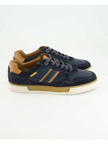 Camel Active Sneaker low in Blau