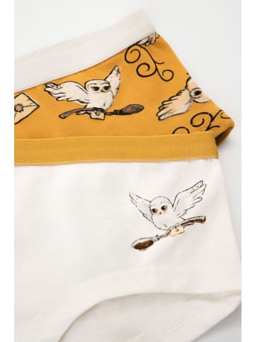 Coccodrillo Unterhose für Mädchen in bunt