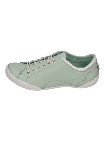 Andrea Conti Sneaker Low 0343636-1199 in grün