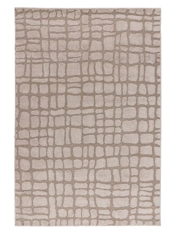 Teppich Boss Kurzflor Teppich Alwin 125 Beige - Beige