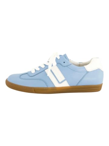 Sneaker Blau/Weiß