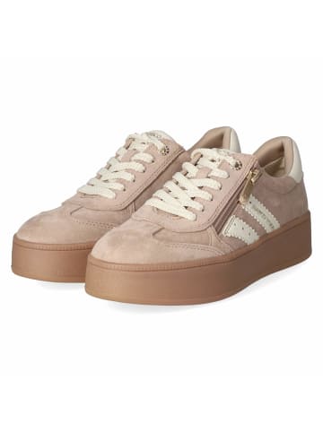 Marco Tozzi Schnürhalbschuh in taupe