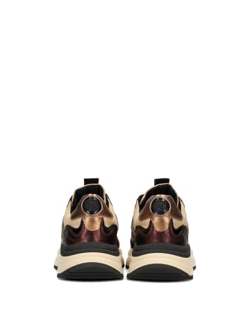 POELMAN Poelman CHARU Damen Sneaker