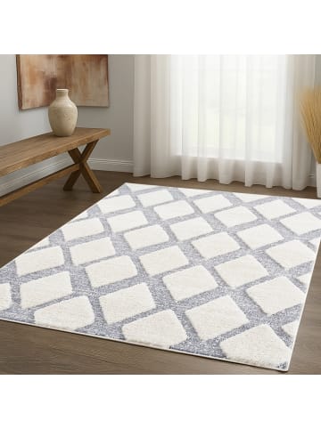 payé Teppich Hochflor Nara 4497