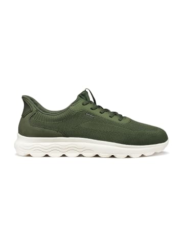 Geox Sportliche Schnürschuhe in Oliv