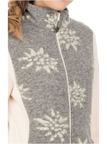 Alp1964 Jacke 296501 in silver