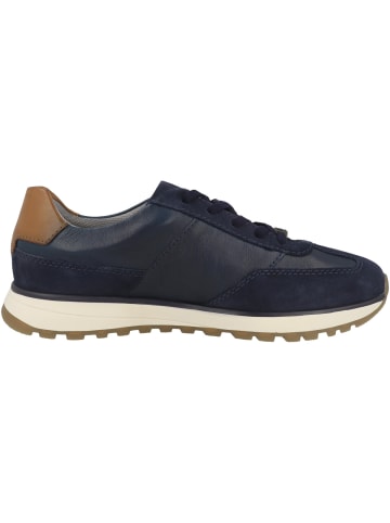 Bugatti Sneaker low AWC01 XT in dunkelblau
