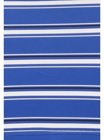 Cruz Bikinitop Shellie in Print 3577 Blue stripe