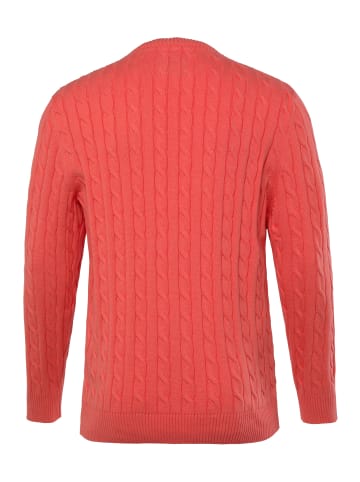 Boston Park Pullover in koralle