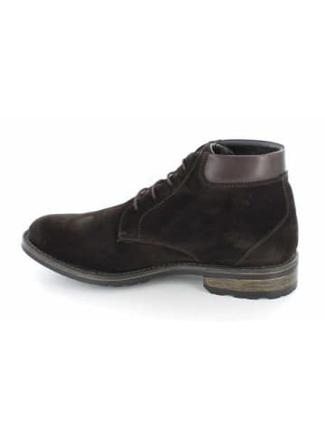 Galizio Torresi Stiefeletten/Boot in braun