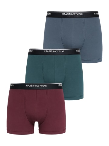Haasis Bodywear 3er-Set: Pants in rauchblau/flaschengrün/merlot