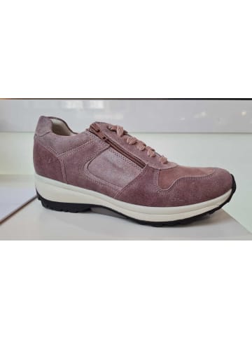 Xsensible Komfort Schnürschuh in beige