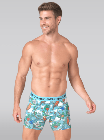 Muchachomalo 2er-Set: Boxershort in Mehrfarbig - für Herren