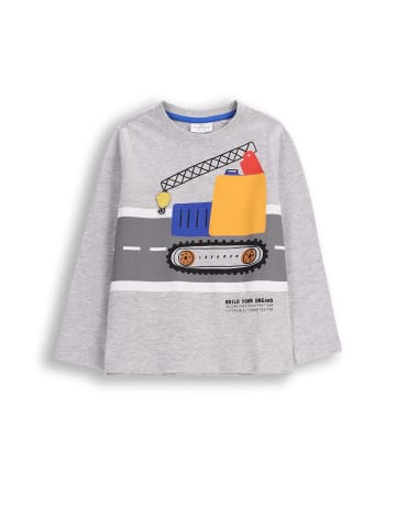 Coccodrillo Langarmshirt in grau