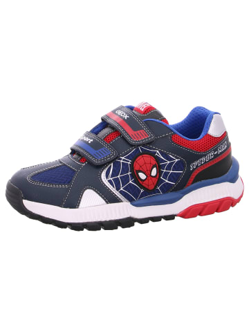 Geox Klettschuh J Tuono Boy in Blau