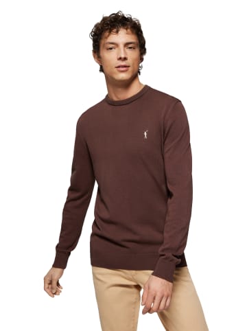 Polo Club Pullover in Braun