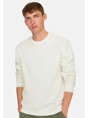 ONLY & SONS Sweatshirt Connor in Creme / grün