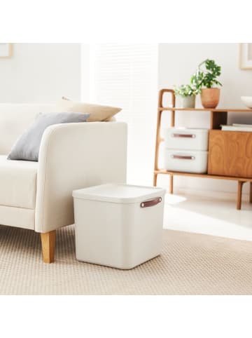 Rotho 2er-Set Aufbewahrungskiste 40l in Mistelweiß