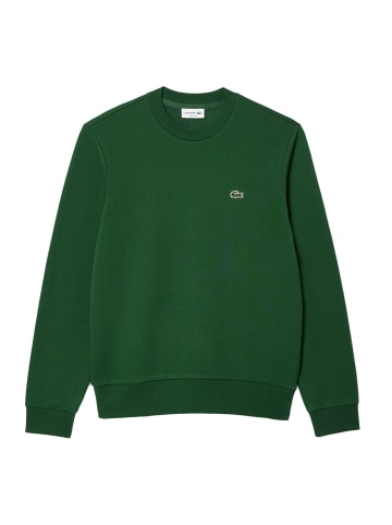 Lacoste Sweatshirt in Grün