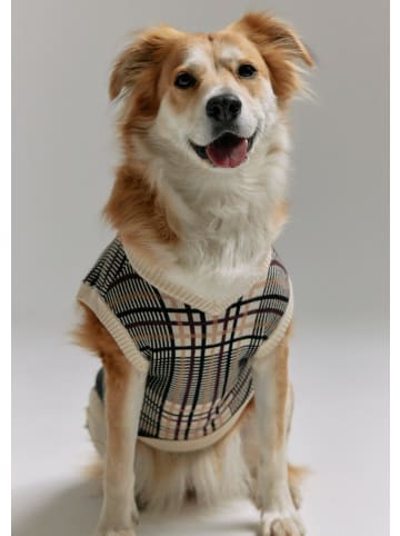 comma Accessories in 81N4_beige