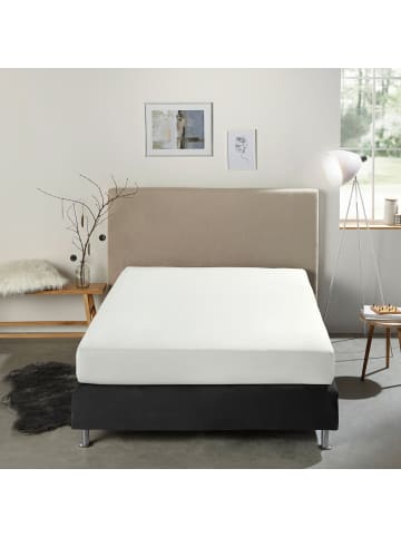 REDBEST Single-Jersey Boxspring-Spannbettlaken Denver in weiß
