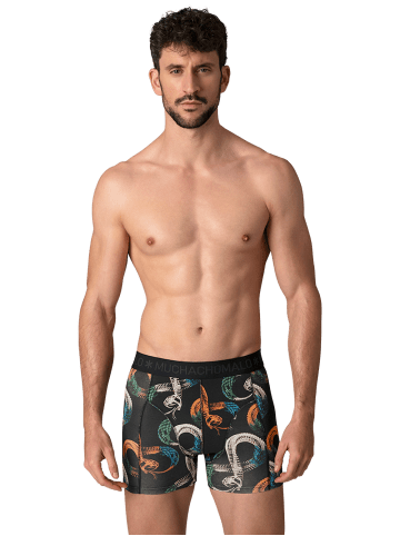 Muchachomalo 12er-Set: Boxershort in Mehrfarbig - für Herren
