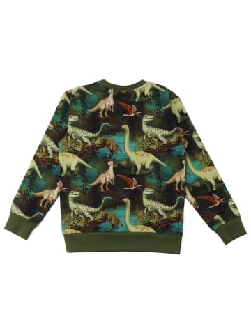 Walkiddy Sweatshirt Dinosaur Jungle - Baumwolle (Bio)