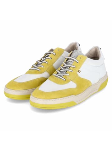 Floris van Bommel Low Sneaker DE DUNKER in Gelb