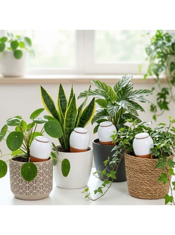 relaxdays 2 x Tonkegel in Terrakotta/ Weiß - 350 ml