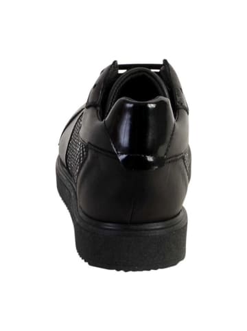 Redskins  Terra-Sneaker Schwarz
