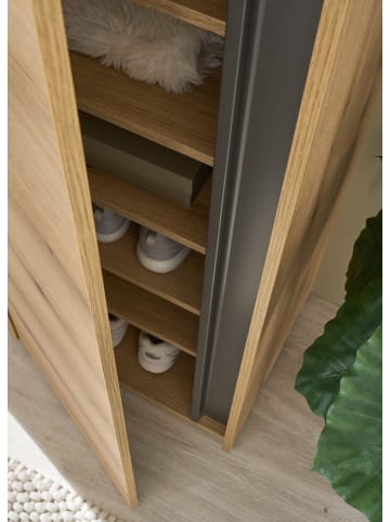 Furn.Design Schuhschrank Evoke Eiche, grau Flurschrank 50 x 200 cm mit 10 Fächern