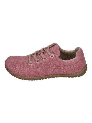 KOEL Sneaker Low INES ECO MERINO in rosa