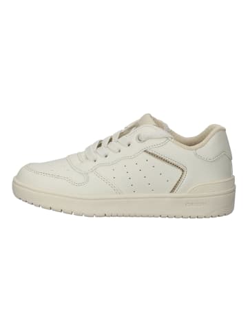 Geox Sneaker in Ivory