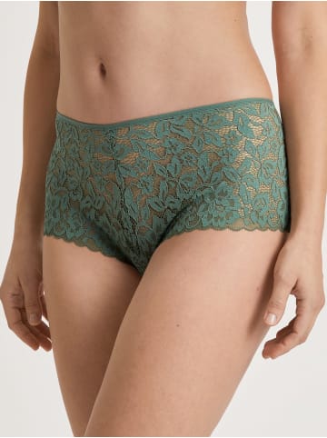 Calida Panty in laurel green