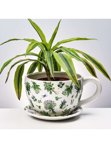 Butlers Pflanztasse PLANT A CUP Lavendelsträuße in Weiß