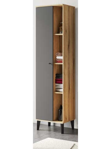 Furn.Design Bad-Hochschrank grau, Evoke Eiche, Badschrank, 51 x 190 cm