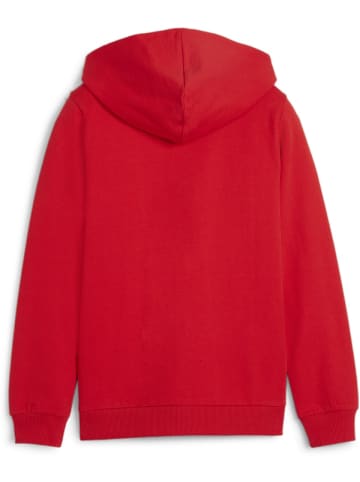 Puma Hoodie "TeamGoal CasuaLongsleeve Hooded Jacket Jr" in Rot