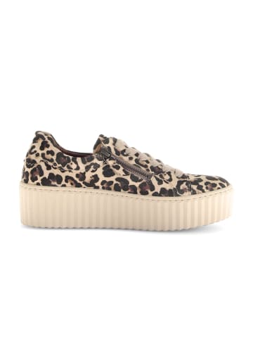 Gabor Fashion Sneaker low in beige