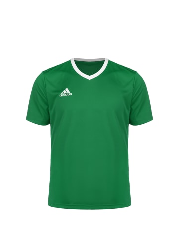 adidas Performance Trikot Entrada 22 in grün / weiß