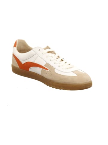 Floris van Bommel Sneaker Low in weiß