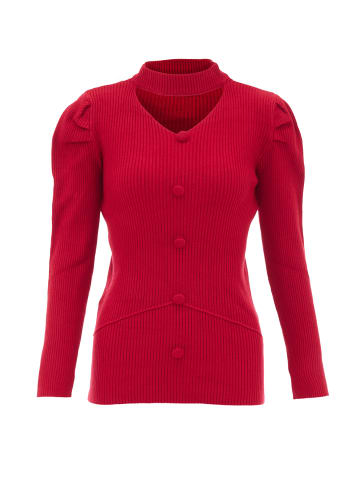 caneva Strickpullover in Rot